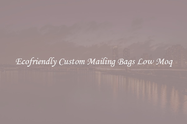 Ecofriendly Custom Mailing Bags Low Moq