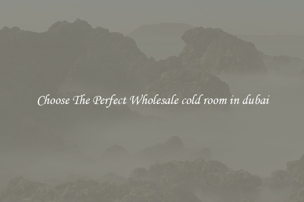 Choose The Perfect Wholesale cold room in dubai