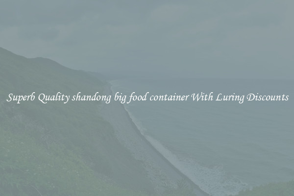 Superb Quality shandong big food container With Luring Discounts