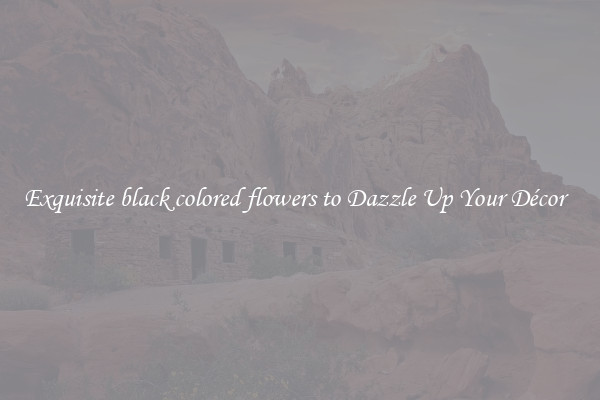 Exquisite black colored flowers to Dazzle Up Your Décor  