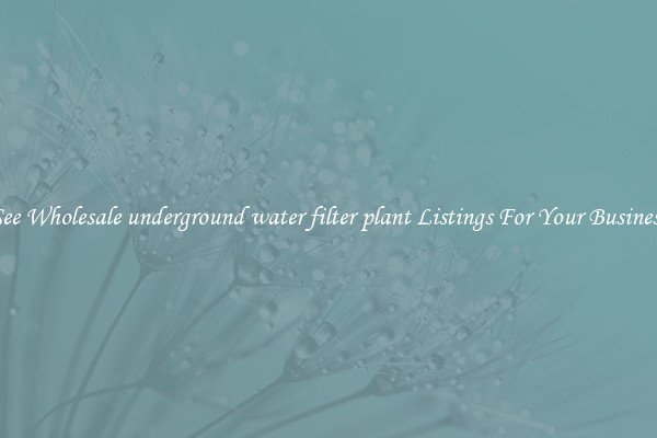 See Wholesale underground water filter plant Listings For Your Business