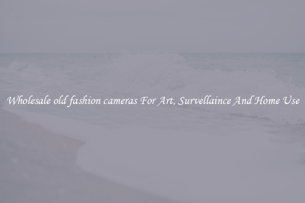 Wholesale old fashion cameras For Art, Survellaince And Home Use