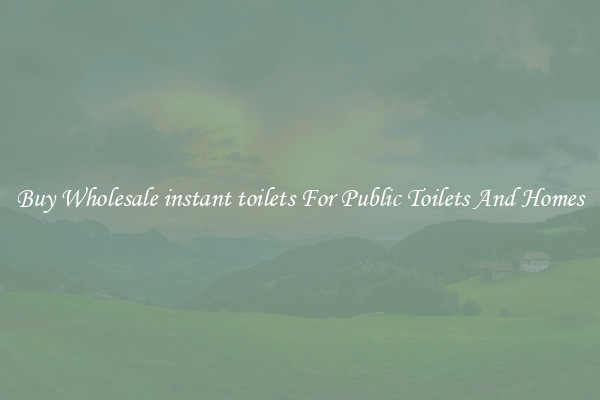 Buy Wholesale instant toilets For Public Toilets And Homes