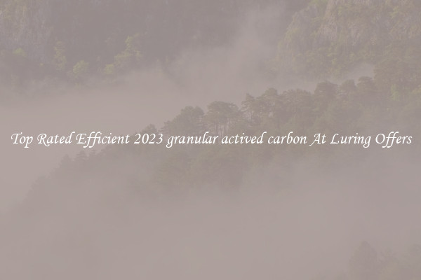 Top Rated Efficient 2023 granular actived carbon At Luring Offers