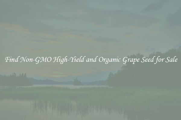 Find Non-GMO High-Yield and Organic Grape Seed for Sale