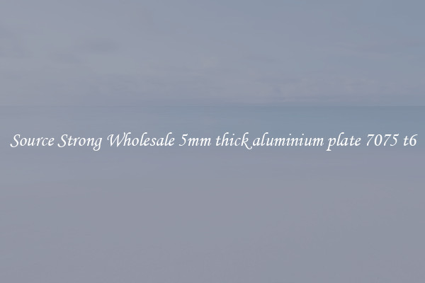 Source Strong Wholesale 5mm thick aluminium plate 7075 t6