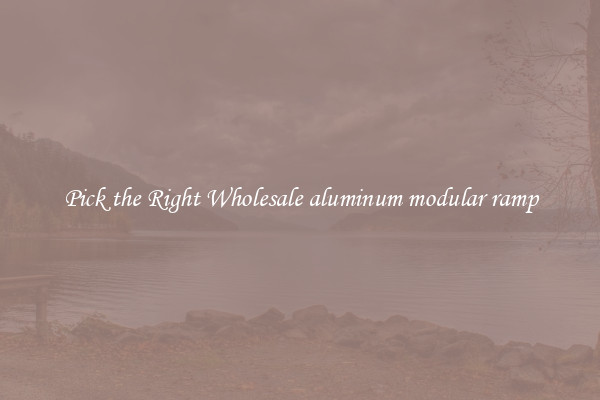 Pick the Right Wholesale aluminum modular ramp