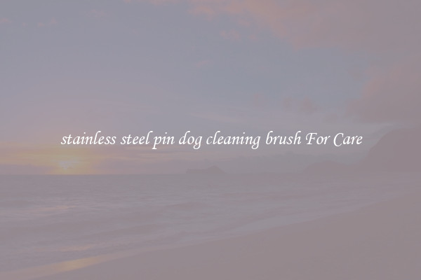 stainless steel pin dog cleaning brush For Care