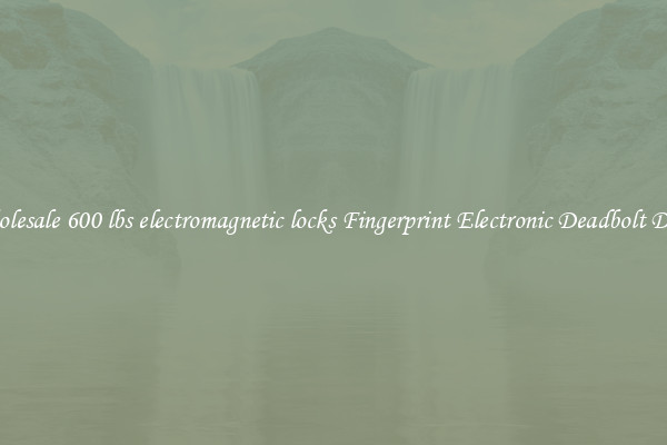 Wholesale 600 lbs electromagnetic locks Fingerprint Electronic Deadbolt Door 