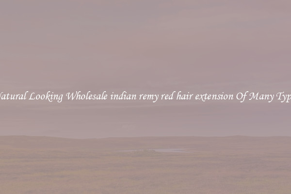 Natural Looking Wholesale indian remy red hair extension Of Many Types