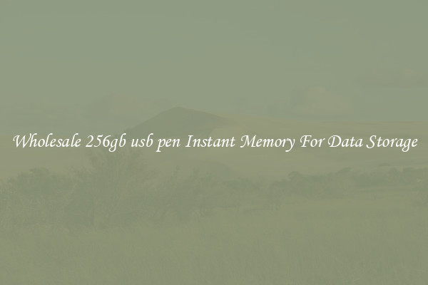 Wholesale 256gb usb pen Instant Memory For Data Storage