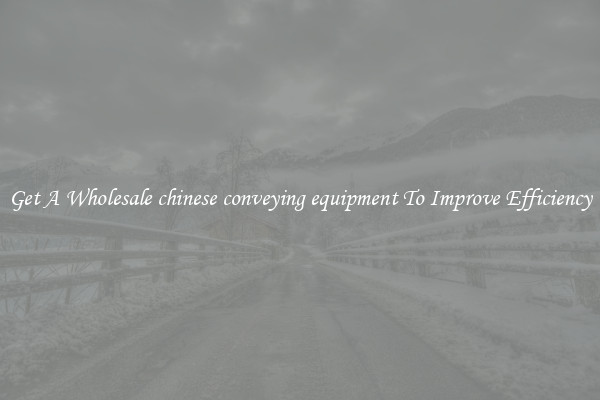 Get A Wholesale chinese conveying equipment To Improve Efficiency
