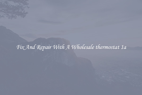 Fix And Repair With A Wholesale thermostat 1a