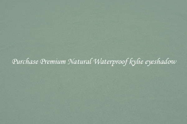 Purchase Premium Natural Waterproof kylie eyeshadow