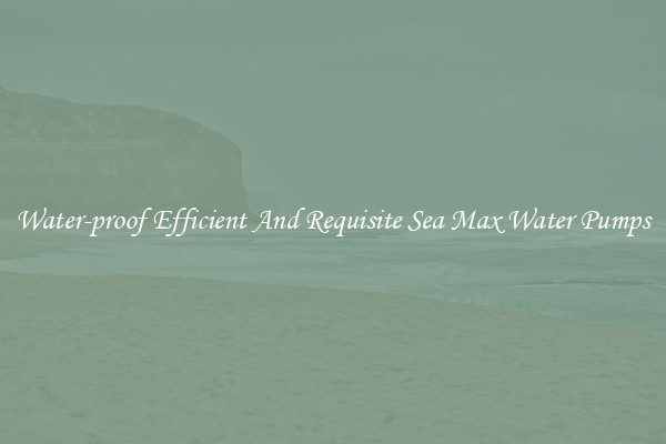 Water-proof Efficient And Requisite Sea Max Water Pumps