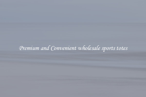 Premium and Convenient wholesale sports totes