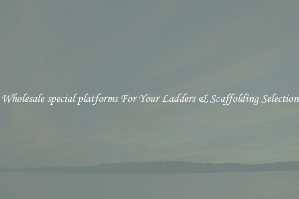 Wholesale special platforms For Your Ladders & Scaffolding Selection