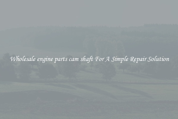 Wholesale engine parts cam shaft For A Simple Repair Solution